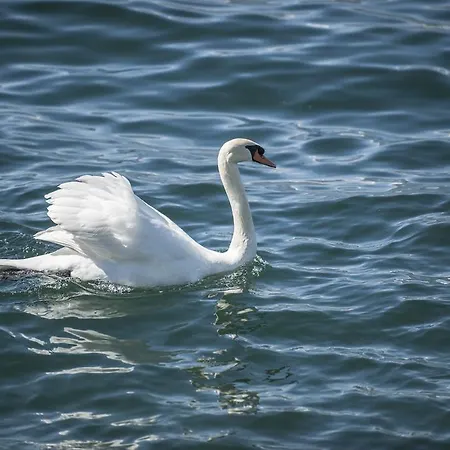 Apartment Posta Al Lago *