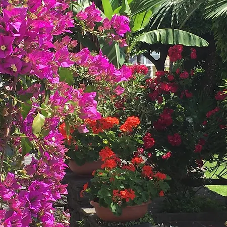 Apartment Posta Al Lago *