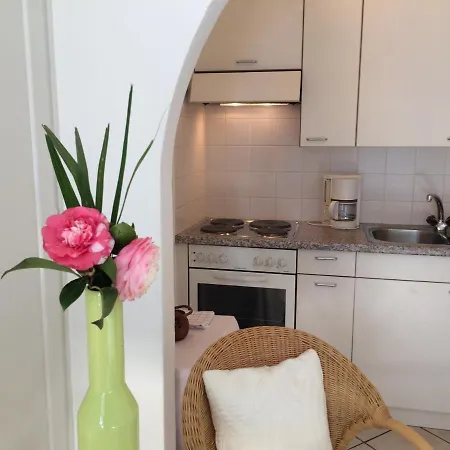 Posta Al Lago Apartment Ronco sopra Ascona